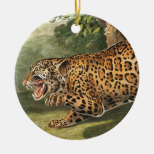 Décoration En Céramique Illustration de Jaguar (Felis onca)