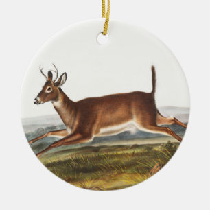 Décoration En Céramique Illustration du cerf à queue longue (Cervus leucur