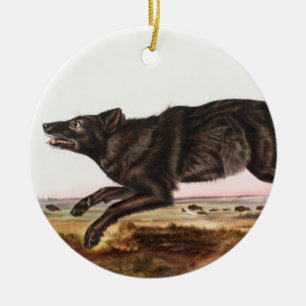 Décoration En Céramique Illustration du loup noir américain (Canis lupus)