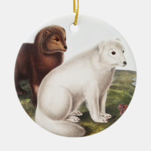 Décoration En Céramique Illustration du renard arctique (Vulpes lagopus)