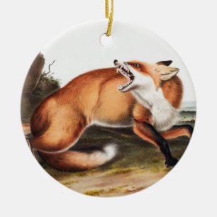 Décoration En Céramique Illustration du Renard rouge américain (Vulpes Ful