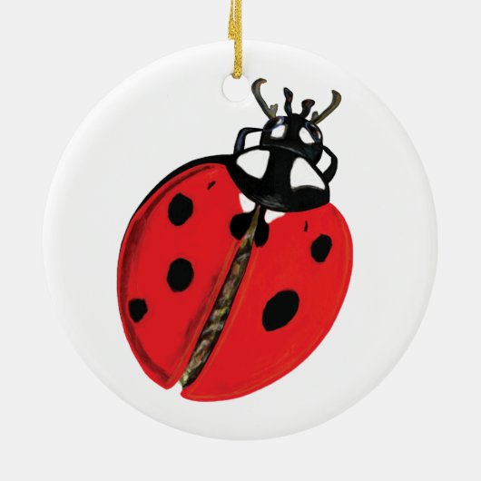Décoration En Céramique Illustration Lady Bug (Dos)