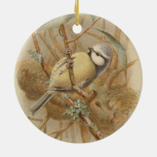 Décoration En Céramique Illustration vintage de mésange bleue