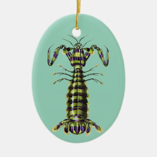 Décoration En Céramique Impression d'art marine de la crevette mantis géan