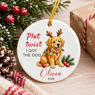 Décoration En Céramique J'ai eu le chien drôle Noël divorce personnalisé