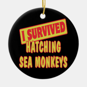 DÉCORATION EN CÉRAMIQUE J'AI SURVÉCU À HATCHER DES SINGES DE MER