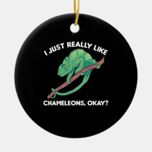 Décoration En Céramique J'Aime Vraiment Chameleons Ok Mignonne Chameleon