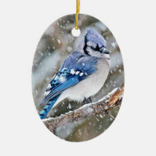 Décoration En Céramique Jay bleu dans une tempête de neige