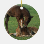 Décoration En Céramique Jeu de poulains de Morgan (Dos)