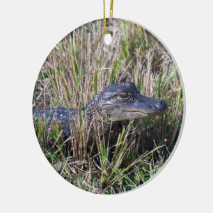 Décoration En Céramique Jeune alligator dans la végétation de marais Faune