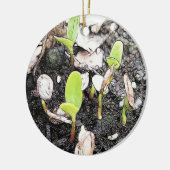 Décoration En Céramique Jeunes plantes nouvellement poussées (Gauche)