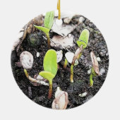 Décoration En Céramique Jeunes plantes nouvellement poussées (Dos)