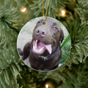 Décoration En Céramique Joies Idiotes : chiot Labrador brun au chocolat,