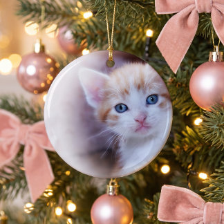 Décoration En Céramique Joli Chat 1 Photo
