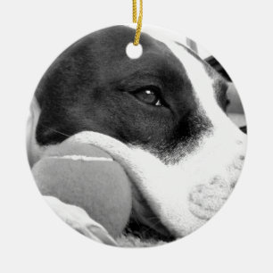 Décoration En Céramique joli chien pitbull au look triste noir et blanc av