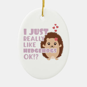 Décoration En Céramique Joli Hérisson J'Aime Vraiment Les Hérisson OK ?