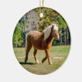 Décoration En Céramique Joli poney de Shetland (Gauche)