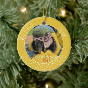 Décoration En Céramique Jolie photo d'un perroquet Ara familier star jaune