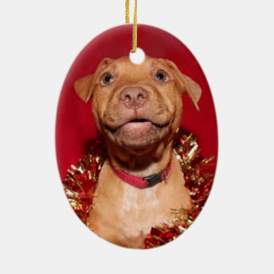 Décoration En Céramique Joyeux Noël de chiot pitbull