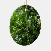 Décoration En Céramique Jungle Ropes Rainforest Photographie (Droite)