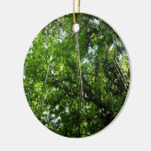 Décoration En Céramique Jungle Ropes Rainforest Photographie (Gauche)