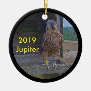 Décoration En Céramique Jupiter d'ornement céramique 2019