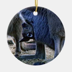 Décoration En Céramique Kangourou bébé dans la poche de la mère - Australi