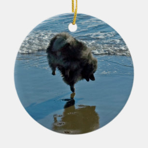 Décoration En Céramique Keeshond Ballet Photographie - Joli chien d'origin