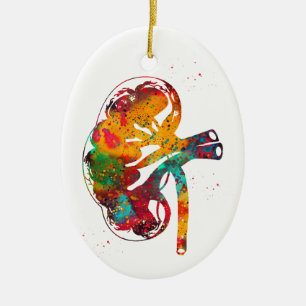 Décoration En Céramique Kidney section