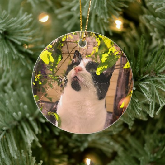 Décoration En Céramique Kitty (Arbre)