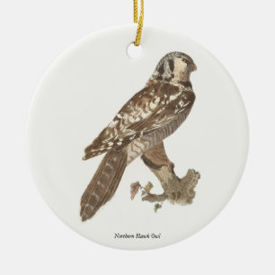 Décoration En Céramique La Chouette du Nord (Surnia ulula) Image d'oiseau