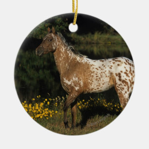 Décoration En Céramique Lac se tenant prêt horse d'Appaloosa