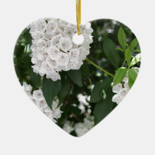 Décoration En Céramique Laurier de Montagne Blanc Fleurs en Étoile