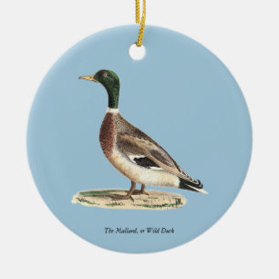 Décoration En Céramique Le canard colvert ou sauvage (Anas platyrhynchos)