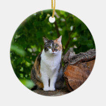Le Chat