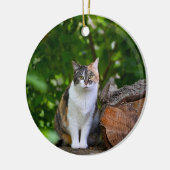 Décoration En Céramique Le Chat (Gauche)