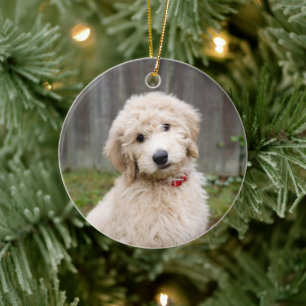 Décoration En Céramique Le Chiot De Goldendoodle S'Assis Dans L'Herbe
