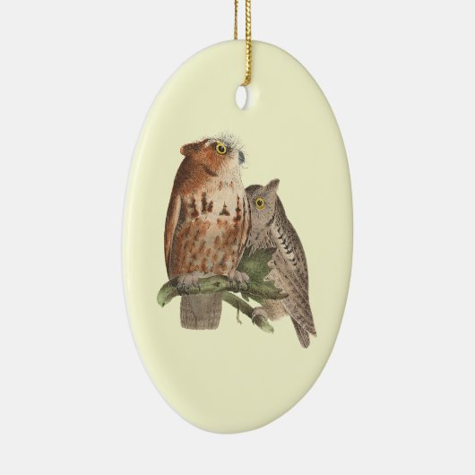 Décoration En Céramique Le Petit Chouette (Bubo asio) (Droite)