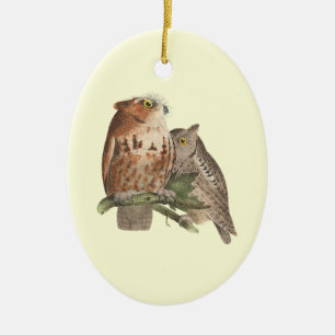 Décoration En Céramique Le Petit Chouette (Bubo asio)