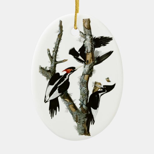Décoration En Céramique Le pivert Ivoire-affiché d'Audubon (Devant)