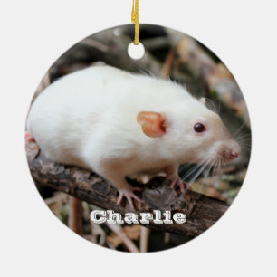 Décoration En Céramique Le rat de compagnie Dumbo de Siamese dans les bois