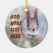 Décoration En Céramique L'écureuil vous regarde du bas vers le haut (Devant)