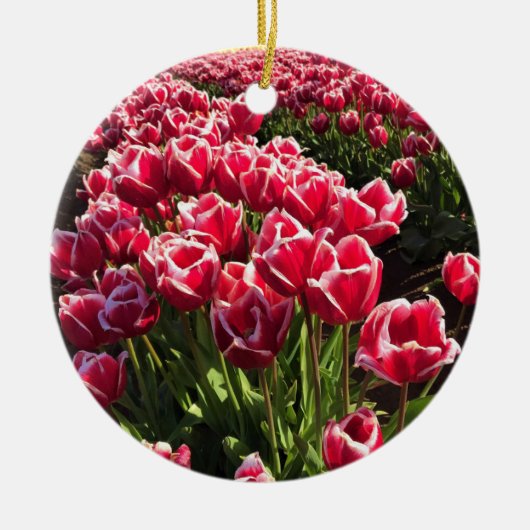 Décoration En Céramique Leen Van Der Mark Tulips, Oregon (Devant)