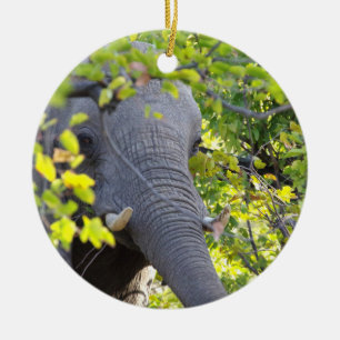 DÉCORATION EN CÉRAMIQUE L'ÉLÉPHANT PARMI L'ORNEMENT FEUILLE VERT