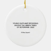 DÉCORATION EN CÉRAMIQUE L'ÉLÉPHANT PARMI L'ORNEMENT FEUILLE VERT (Dos)