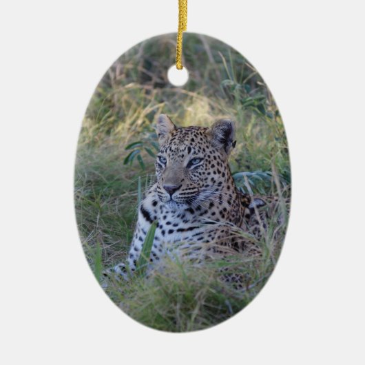 DÉCORATION EN CÉRAMIQUE LEOPARD (Devant)