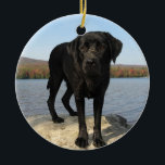 Décoration En Céramique Life's a Beach - Labrador Retriever - Black Lab<br><div class="desc">Juste une journée à la plage pour cette belle Black Labrador. Life is a Beach - Oeuvre originale de Judy Burrows @ Black Dog Art</div>