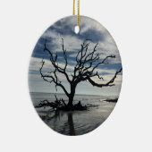 Décoration En Céramique L'île de Jekyll Géorgie (Droite)