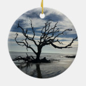 Décoration En Céramique L'île de Jekyll Géorgie (Dos)