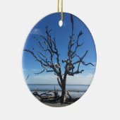 Décoration En Céramique L'île de Jekyll Géorgie (Droite)